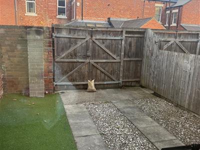 Picture 11